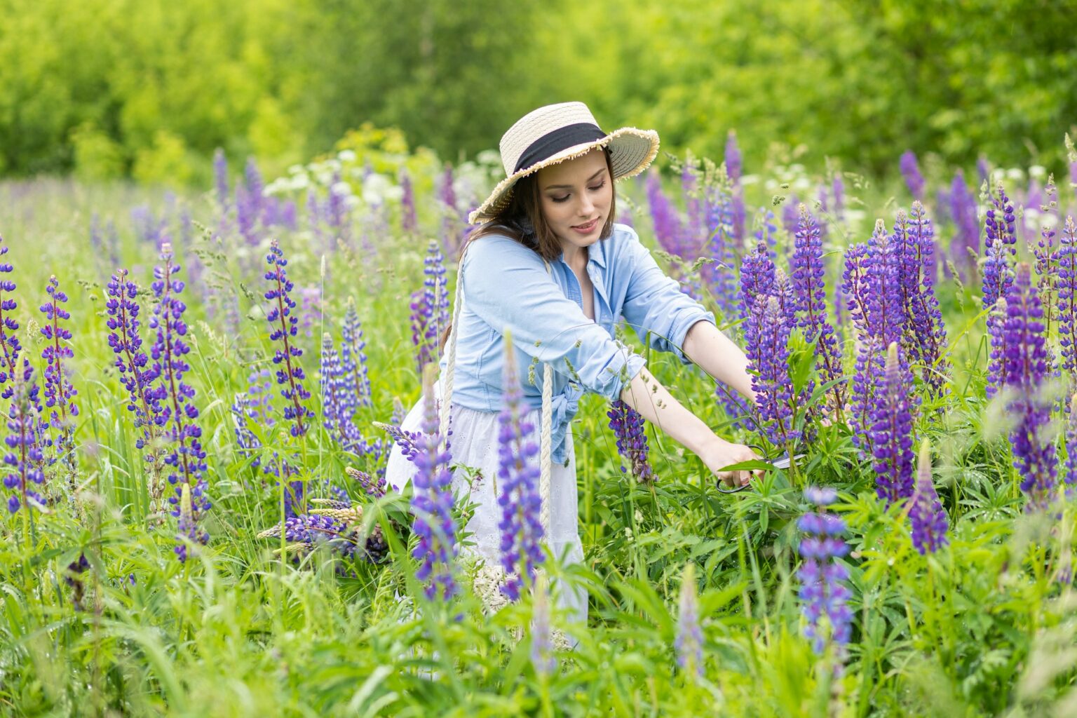 Les bienfaits de la fleur de violette : une merveille de la nature Beautiful young girl in a white dress, straw hat with a bouquet of violet flowers in her hands and