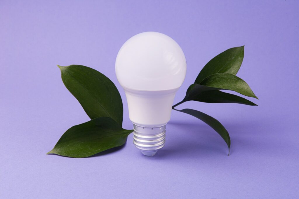 Led bulb with frsh green leafs,green energy concept.