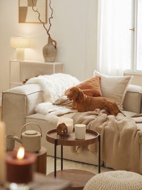 salon cosy