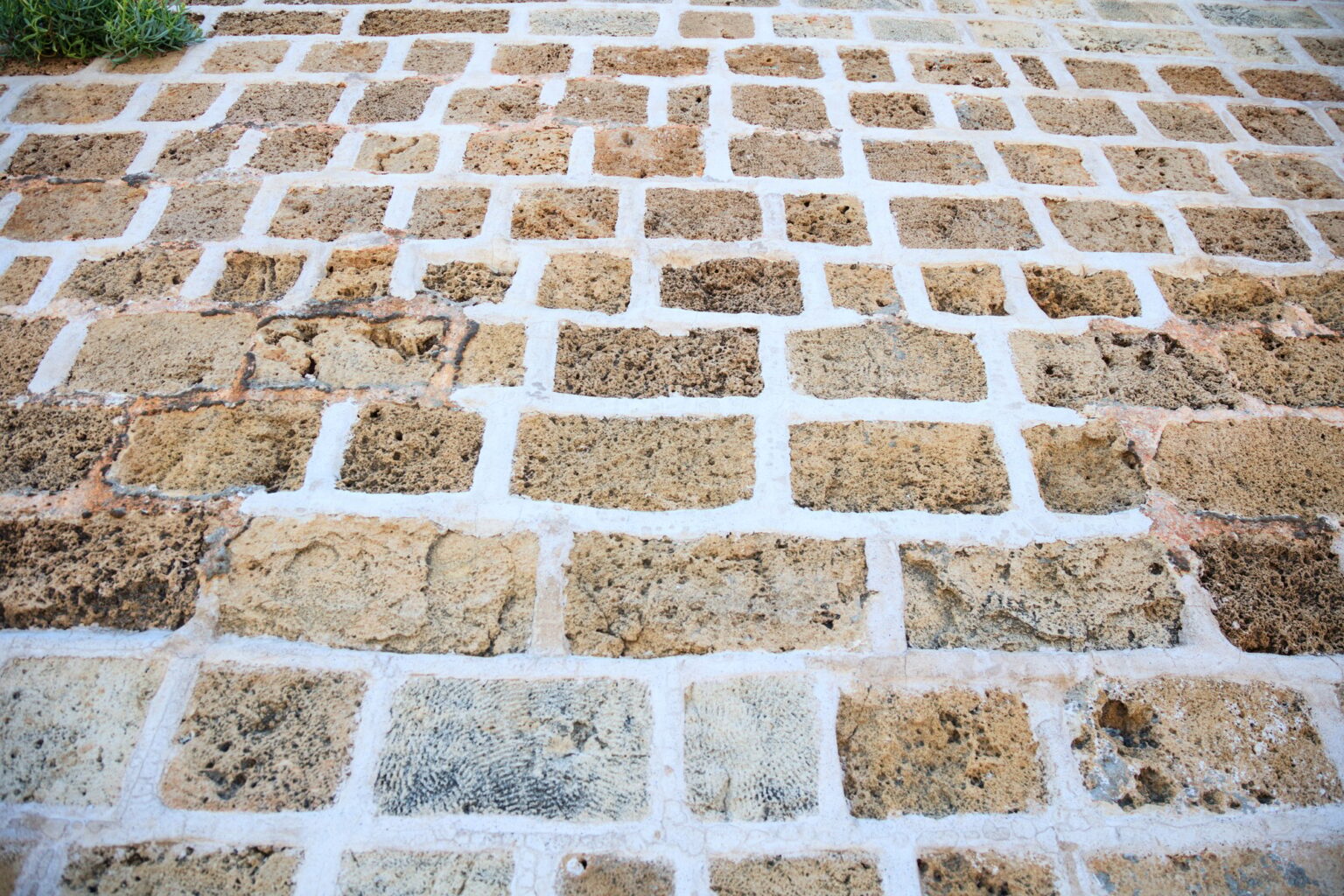 Éliminer la mousse naturellement : astuces et solutions écologiques Exterior stone paved background
