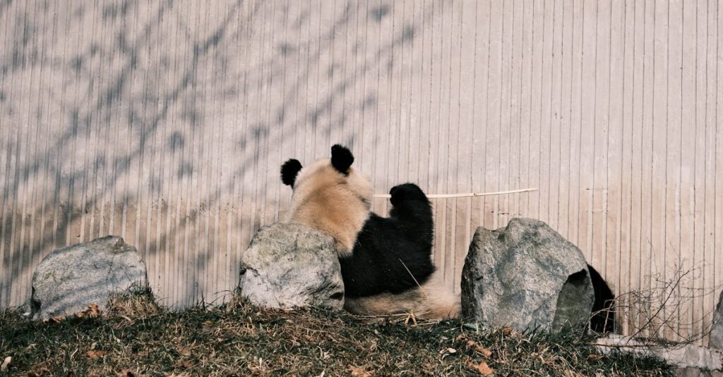 découvrez tout sur le mur porteur, un élément essentiel de la structure d'une maison. apprenez comment il supporte les charges, ses caractéristiques, et les considérations à prendre en compte lors de la rénovation ou de la construction de votre habitat.