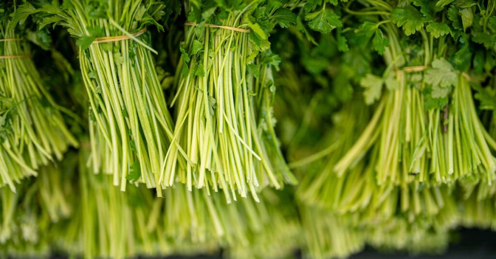 Comment redonner à votre maison une odeur fraîche après un accident de chat découvrez l'essence de la fraîcheur avec nos conseils et recettes pour un mode de vie sain. apprenez à intégrer des ingrédients frais dans votre alimentation quotidienne et profitez d'une vitalité renouvelée.