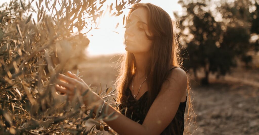 découvrez l'olive, un arbre aux multiples bienfaits et à l'importance culturelle forte. parfaits pour la cuisine méditerranéenne, les oliviers apportent également une touche d'élégance à votre jardin. apprenez-en plus sur la culture, les variétés et les avantages de l'huile d'olive.