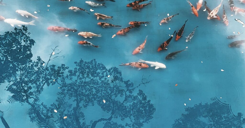 découvrez l'harmonie et la sérénité d'un jardin japonais, un espace zen inspiré de la nature, où chaque élément est soigneusement pensé pour favoriser la méditation et la contemplation.