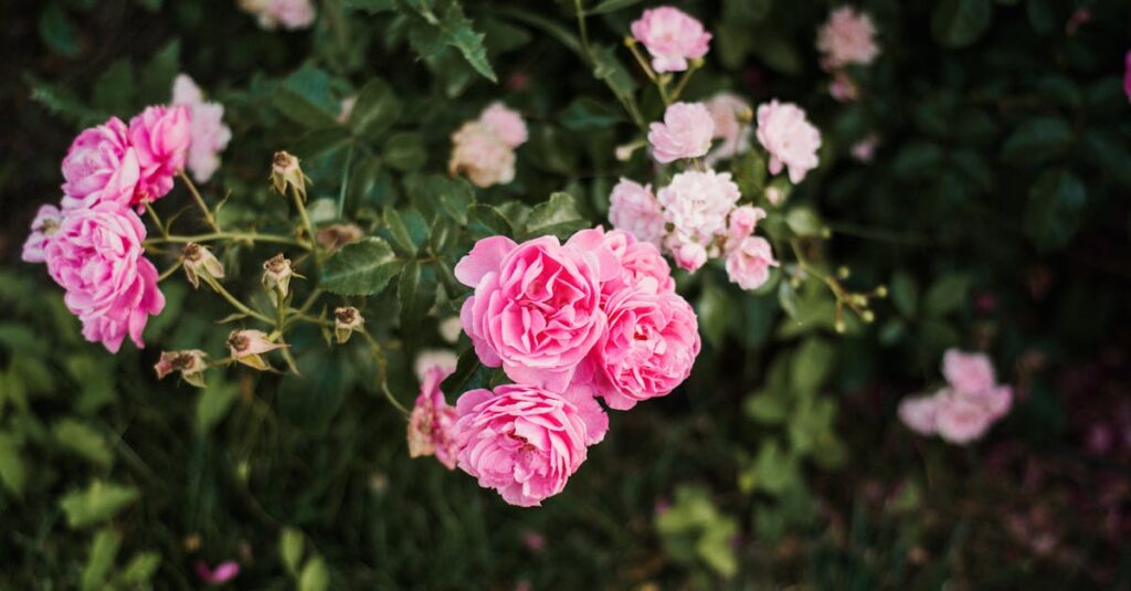 découvrez les savoureuses bush beans, des haricots de qualité supérieure cultivés avec soin. parfaits pour vos plats préférés, ils ajoutent une touche de saveur authentique à vos repas. explorez notre gamme et apprenez à les cuisiner de manière créative !