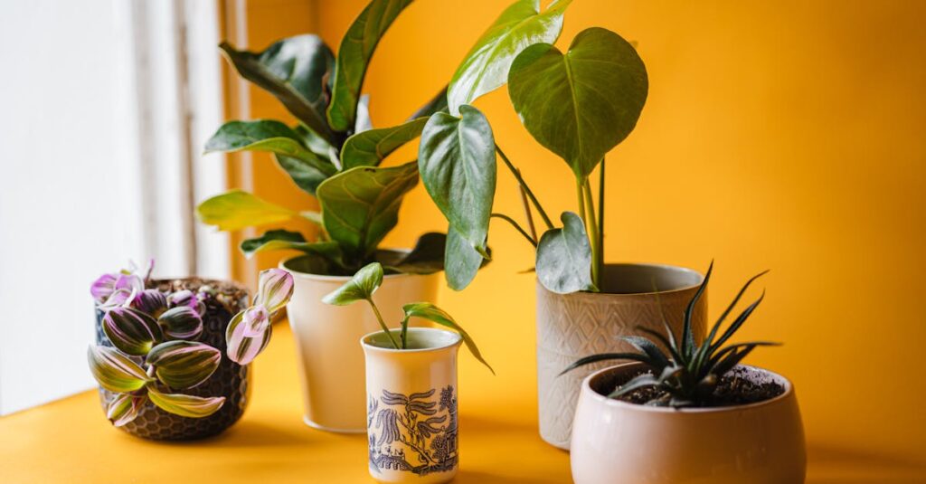 Cultiver des tomates cerises : un voyage inspirant vers votre urbanisme végétal découvrez l'urban gardening, une méthode innovante de jardinage qui transforme les espaces urbains en oasis verdoyantes. apprenez comment cultiver vos propres légumes, herbes et fleurs en ville, tout en améliorant votre bien-être et en contribuant à l'environnement. adoptez le jardinage urbain et ramenez la nature dans votre quotidien.