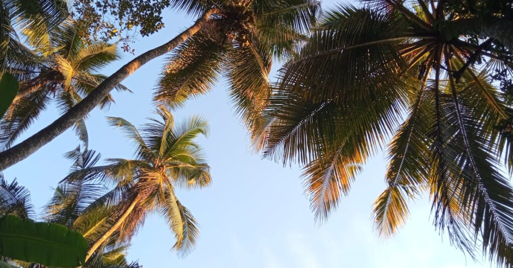 Découvrez comment une verrière redéfinit l’élégance d’une suite parentale découvrez le monde fascinant des canopées, où la biodiversité éclatante des forêts tropicales s'épanouit. explorez les écosystèmes uniques qui abritent une multitude d'espèces animales et végétales, tout en profitant d'activités d'écotourisme captivantes au cœur de la nature.
