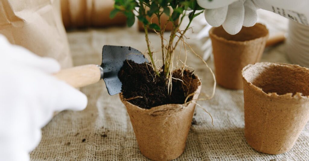 Découvrez le jardinage urbain : comment cultiver des tomates cerises en pot facilement découvrez l'urban gardening, une pratique innovante qui transforme les espaces urbains en véritables jardins luxuriants. apprenez à cultiver des plantes, légumes et herbes dans votre ville, et adoptez un mode de vie durable tout en embellissant votre environnement. plongez dans l'univers du jardinage urbain et connectez-vous à la nature, même au cœur de la ville.