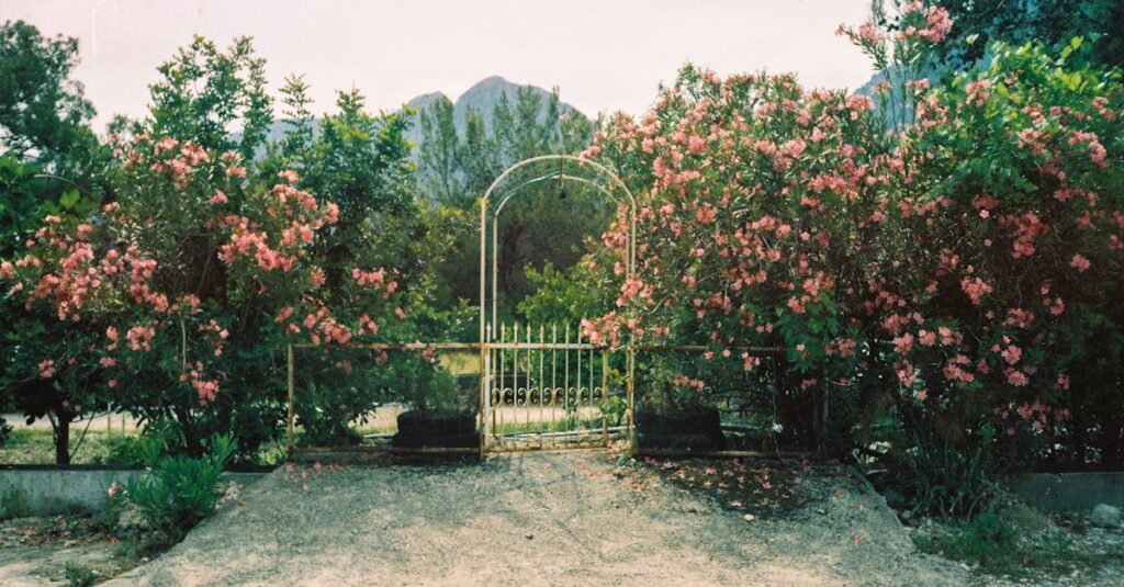 Le laurier rose : un écrin de beauté à votre jardin découvrez le laurier-rose, plante ornementale captivante, appréciée pour ses fleurs vibrantes et sa résistance. apprenez à l'entretenir et à l'utiliser pour embellir votre jardin tout en prenant soin de sa toxicité.