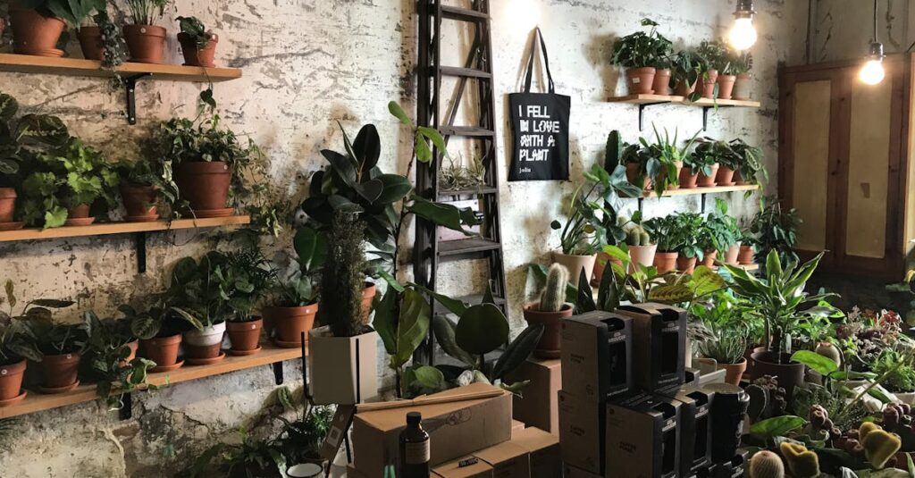 découvrez notre collection de plantes en pot, idéales pour embellir vos espaces intérieurs et extérieurs. apprenez à choisir, entretenir et mettre en valeur ces magnifiques végétaux pour créer une ambiance chaleureuse chez vous.