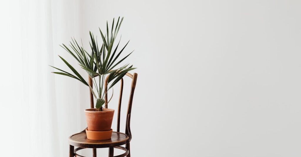 Révélez l’éclat de votre douche avec des astuces naturelles découvrez des astuces naturelles pour améliorer votre bien-être au quotidien. des conseils simples et efficaces pour adopter un mode de vie sain et respectueux de l'environnement.