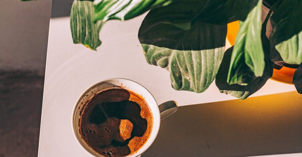 découvrez l'univers de zara home, une enseigne dédiée à la décoration et aux accessoires pour la maison. explorez nos collections élégantes et modernes pour transformer votre intérieur en un espace chaleureux et accueillant.