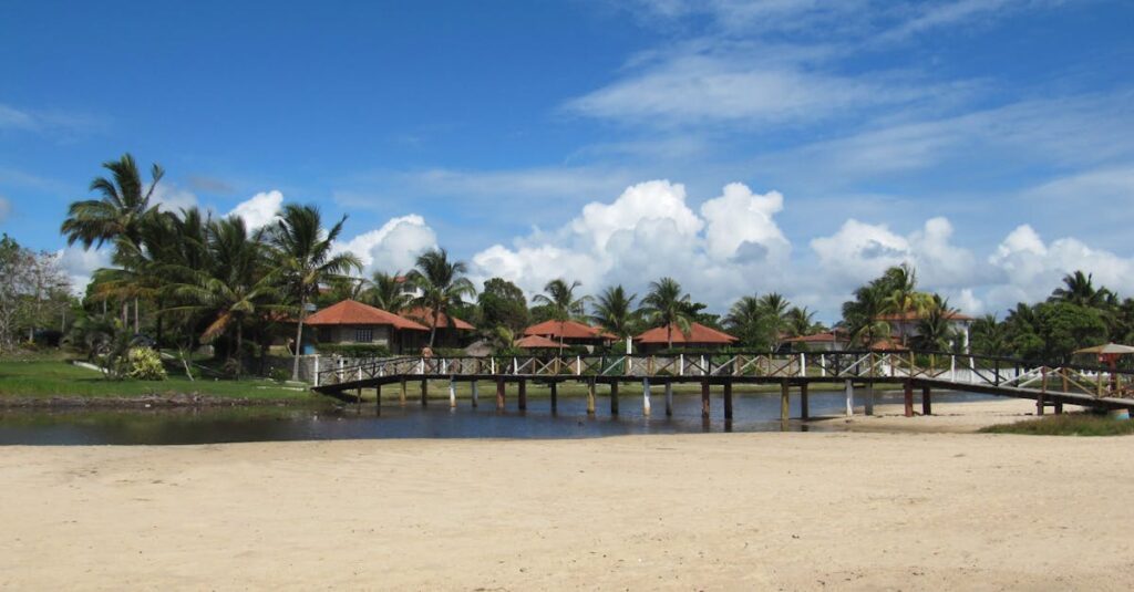 Transformez votre extérieur : construisez une terrasse en bois réussie vous-même découvrez l'univers fascinant des decks, un espace multifonction idéal pour se détendre, se divertir ou organiser des événements. apprenez à concevoir le deck parfait pour votre maison, avec des idées de design, des matériaux adaptés et des conseils d'entretien.