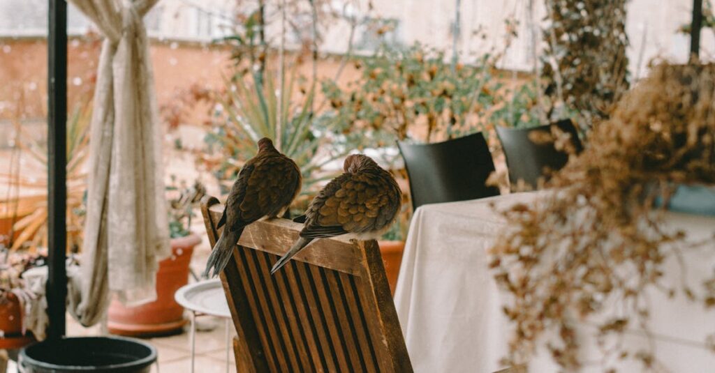 Transformez votre petite terrasse en un havre de paix inspirant découvrez notre large sélection de terrasses élégantes et fonctionnelles, idéales pour profiter de votre espace extérieur. inspiration, conseils d'aménagement et matériaux de qualité pour créer un cadre de vie agréable et accueillant.