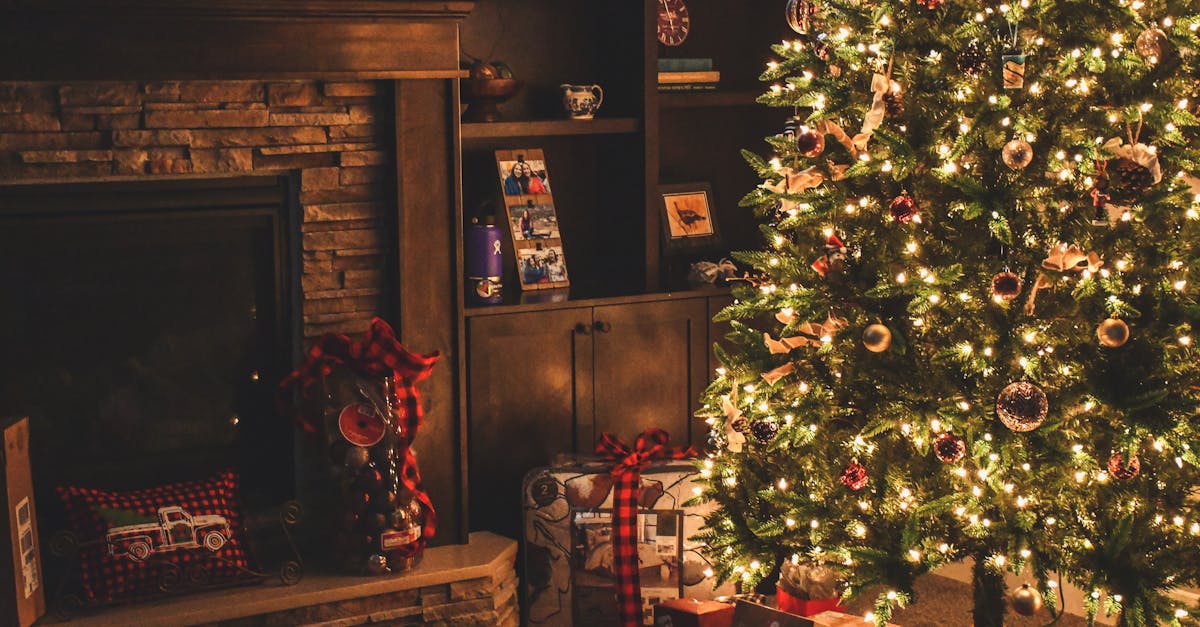 découvrez notre sélection de décorations de noël abordables pour égayer vos fêtes sans vous ruiner. trouvez des idées créatives et festives pour transformer votre maison en un véritable pays des merveilles hivernal tout en respectant votre budget.