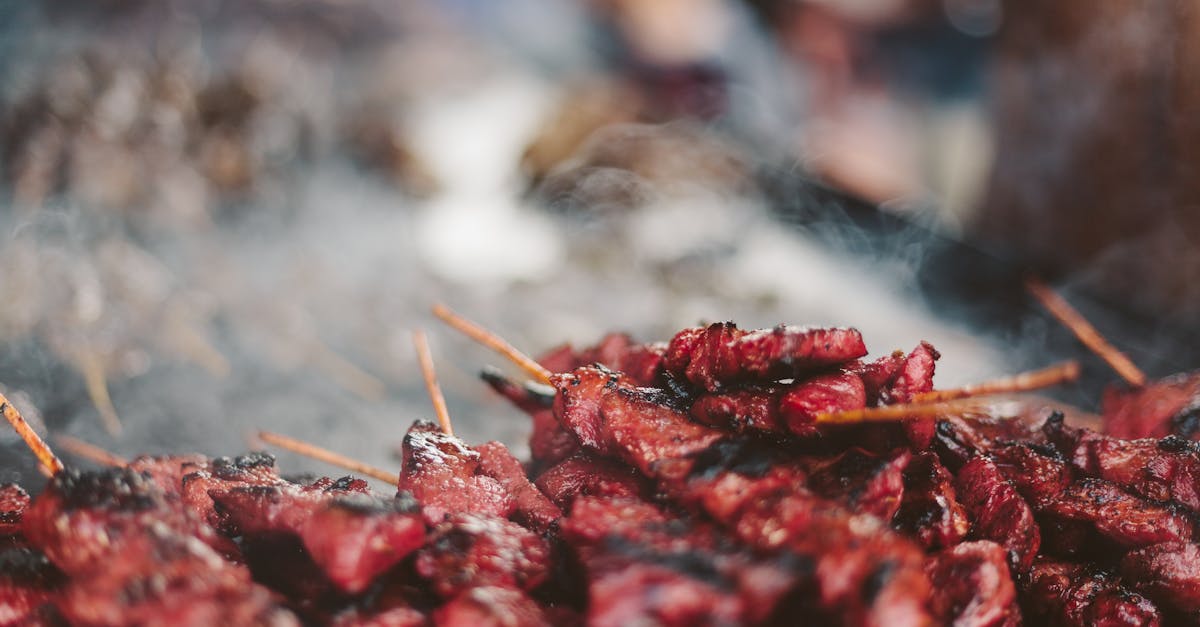découvrez l'art du barbecue avec nos conseils, recettes savoureuses et techniques de cuisson pour des grillades parfaites. éveillez vos papilles et profitez de moments conviviaux en plein air.