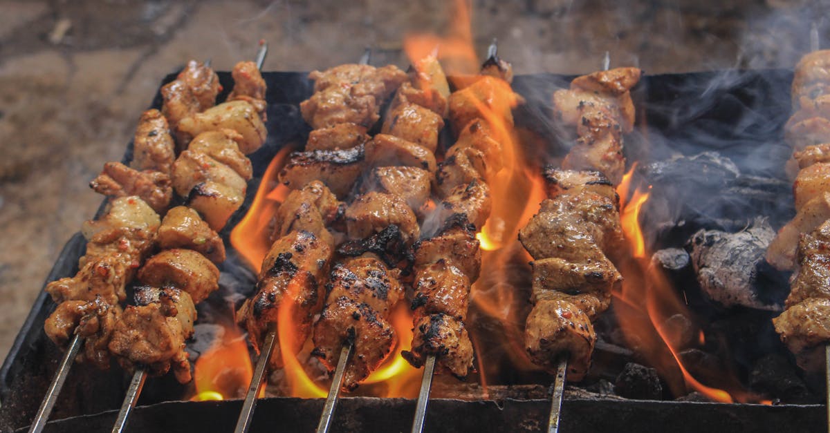 découvrez notre sélection de barbecues pour des grillades parfaites en toute saison. profitez de recettes savoureuses et de conseils d'experts pour transformer vos repas en moments inoubliables.