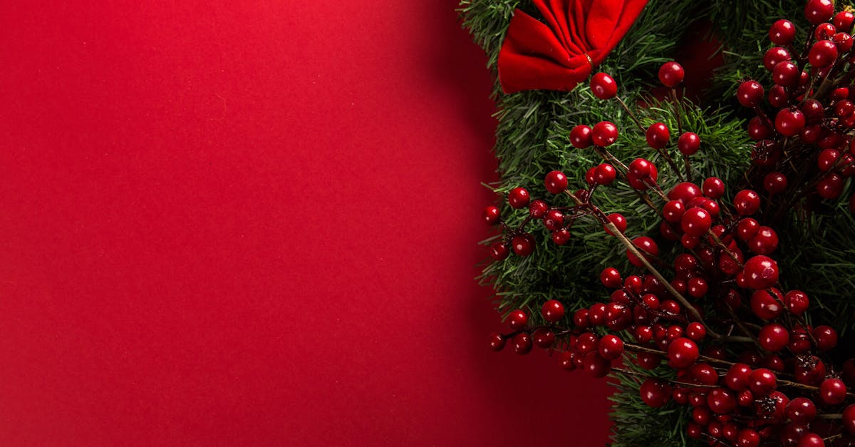 découvrez la magie de noël avec des idées de décoration, des recettes festives et des traditions pour célébrer cette période enchantée. plongez dans l'esprit des fêtes et créez des souvenirs inoubliables en famille!