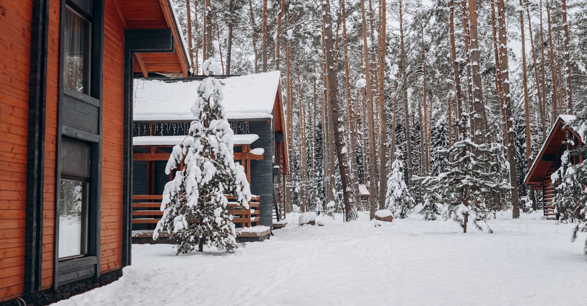découvrez un chalet douillet où confort et nature se rencontrent. profitez d'un séjour paisible, des paysages enchanteurs et de moments inoubliables en famille ou entre amis.