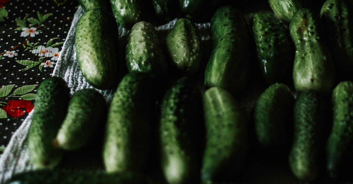 découvrez tout sur les concombres : bienfaits nutritionnels, recettes savoureuses et conseils de culture pour profiter au maximum de ce légume croquant et rafraîchissant.