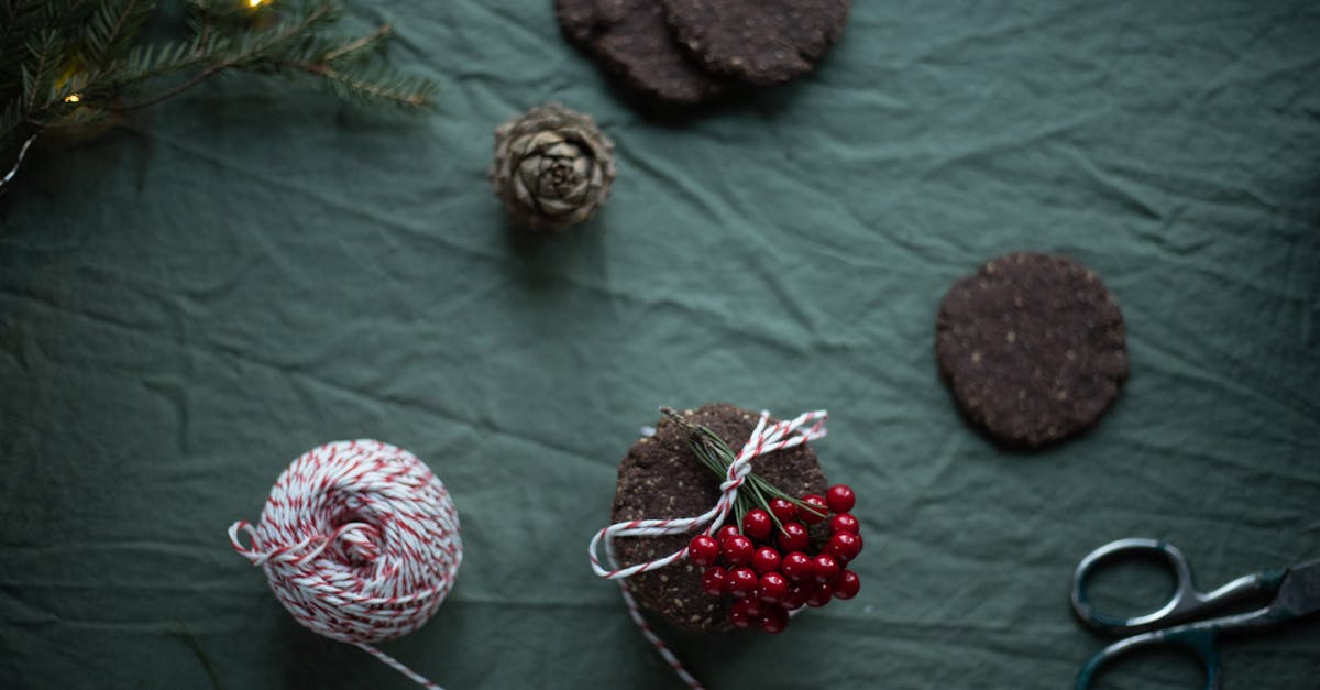 découvrez des idées créatives de décorations de noël à réaliser vous-même ! transformez votre maison en un véritable pays des merveilles hivernal avec nos astuces faciles et inspirantes pour des diy de noël uniques.