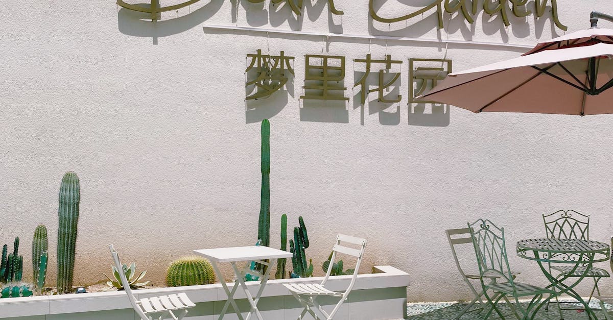 découvrez votre oasis de rêve avec notre guide sur la création d'un jardin idéal. transformez votre espace extérieur en un havre de paix, mêlant beauté, sérénité et nature. inspirez-vous des tendances les plus modernes pour concevoir le jardin de vos rêves.