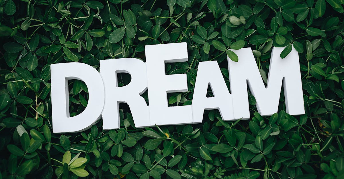 découvrez l'univers enchanteur de notre dream garden, un espace où la nature s'épanouit en harmonie. plantes luxuriantes, fleurs colorées et aménagements zen vous attendent pour transformer votre jardin en un véritable havre de paix.