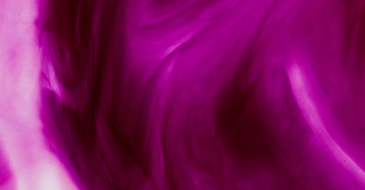 découvrez le fuchsia, une plante éclatante aux fleurs pendantes de couleurs vives. apprenez à cultiver cette beauté délicate dans votre jardin et à profiter de ses nuances vibrantes qui égayeront vos espaces extérieurs.
