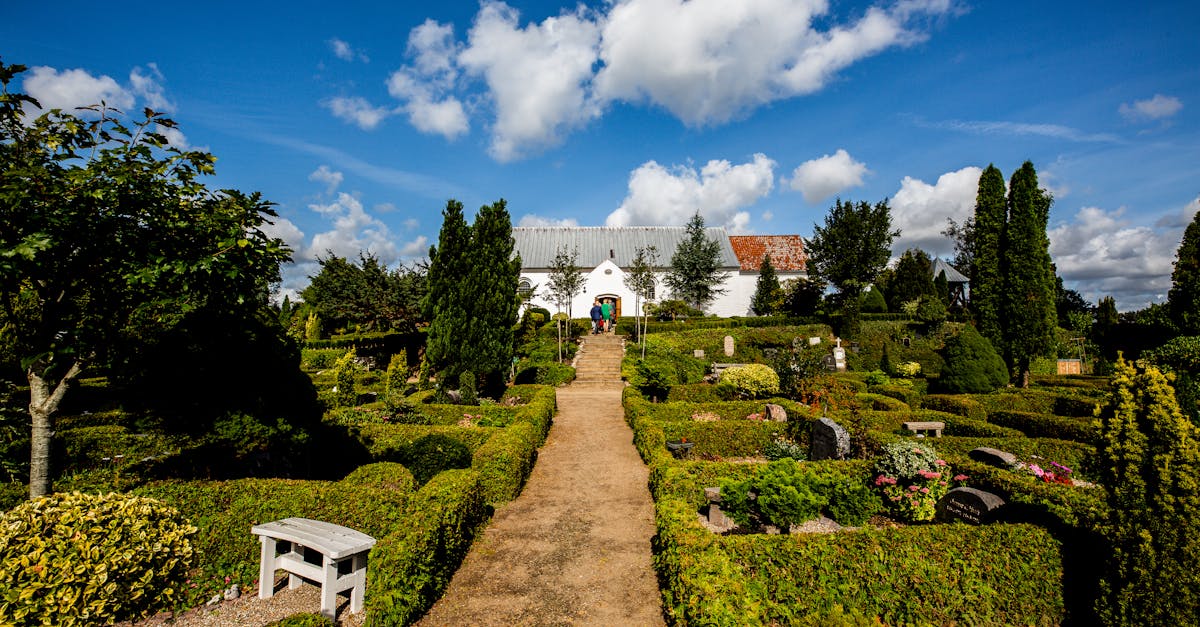 découvrez votre havre de paix avec notre jardin sanctuaire, un espace enchanteur où la nature et la sérénité se rencontrent. idéal pour se ressourcer, méditer ou passer des moments inoubliables en famille et entre amis.