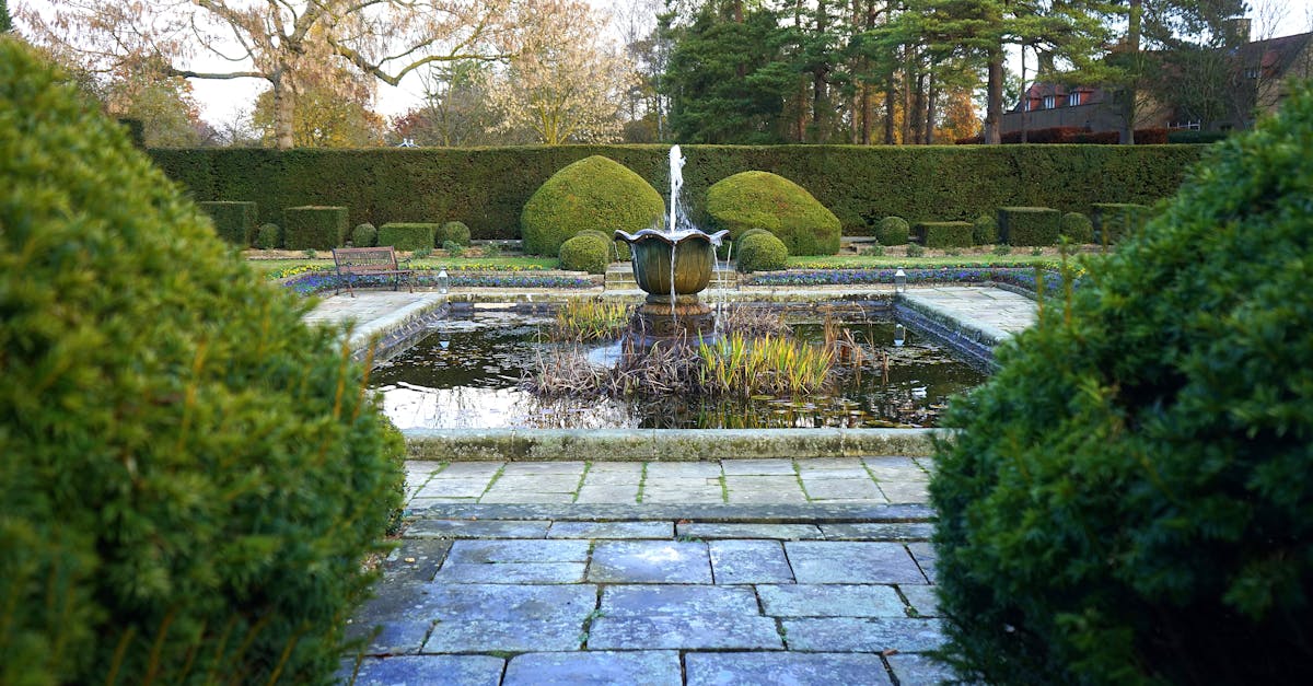 découvrez votre sanctuaire de jardin, un espace paisible pour la détente et la connexion avec la nature. transformez votre extérieur en un havre de paix, où chaque plante et chaque fleur créent une atmosphère sereine et revitalisante.