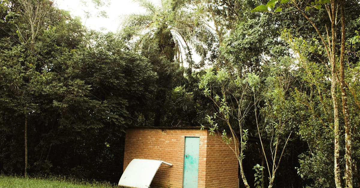 découvrez notre sélection de cabanons de jardin, conçus pour maximiser votre espace extérieur. que vous ayez besoin de rangement, d'un atelier ou d'un espace de loisirs, trouvez le cabanon idéal qui allie fonctionnalité et esthétique pour embellir votre jardin.