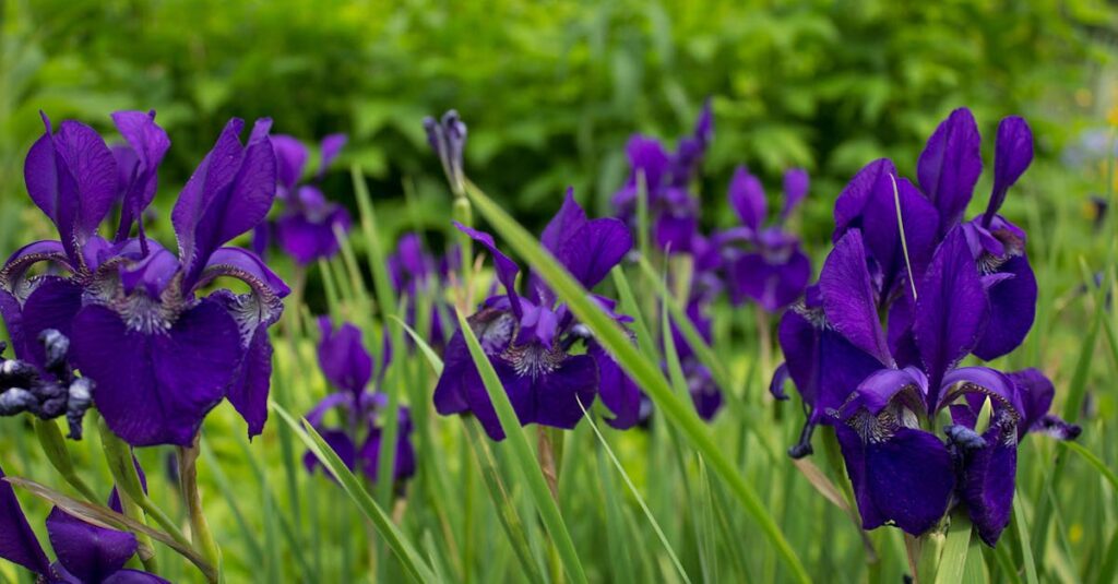 idées récup pour un jardin déco inspirant découvrez notre collection de décorations de jardin qui apportent charme et originalité à votre espace extérieur. transformez votre jardin en un havre de paix avec des accessoires uniques et stylés, adaptés à tous les goûts et budgets.