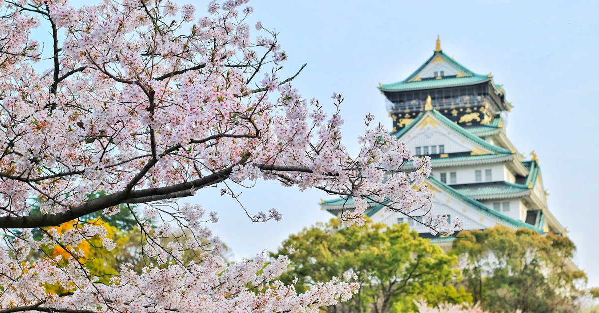 découvrez l'harmonie et la sérénité d'un jardin japonais, un espace où la nature et l'art s'entremêlent pour offrir un voyage apaisant. explorez les éléments emblématiques tels que les rochers, l'eau et les plantes soigneusement sélectionnées, créant ainsi un refuge zen. plongez dans la culture japonaise et laissez-vous inspirer par la beauté intemporelle de ces jardins.