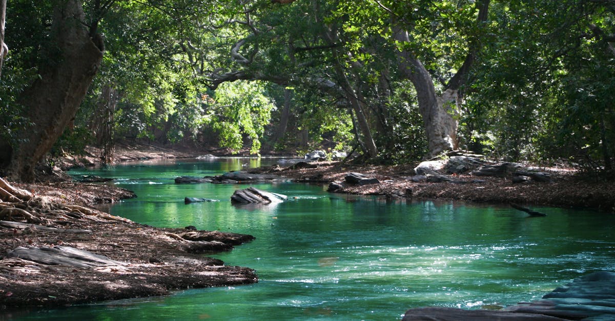 découvrez des paysages à couper le souffle qui capturent la beauté de la nature. explorez des horizons variés, des montagnes majestueuses aux plages sereines, et laissez-vous inspirer par la richesse des paysages à travers le monde.