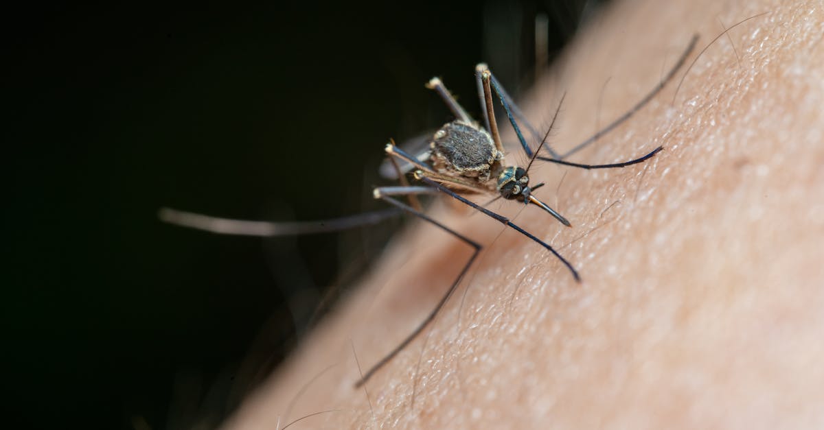 protégez-vous des piqûres de moustiques avec notre répulsif efficace. idéal pour les promenades en plein air, les voyages et les soirées d'été, notre formule vous offre une protection durable tout en étant douce pour la peau. dites adieu aux insectes et profitez de votre temps à l'extérieur en toute sérénité!