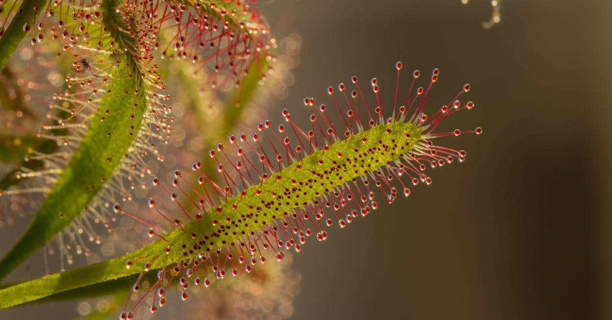 découvrez nos conseils naturels pour améliorer votre bien-être au quotidien. des astuces simples et efficaces pour vivre en harmonie avec la nature tout en prenant soin de votre santé.
