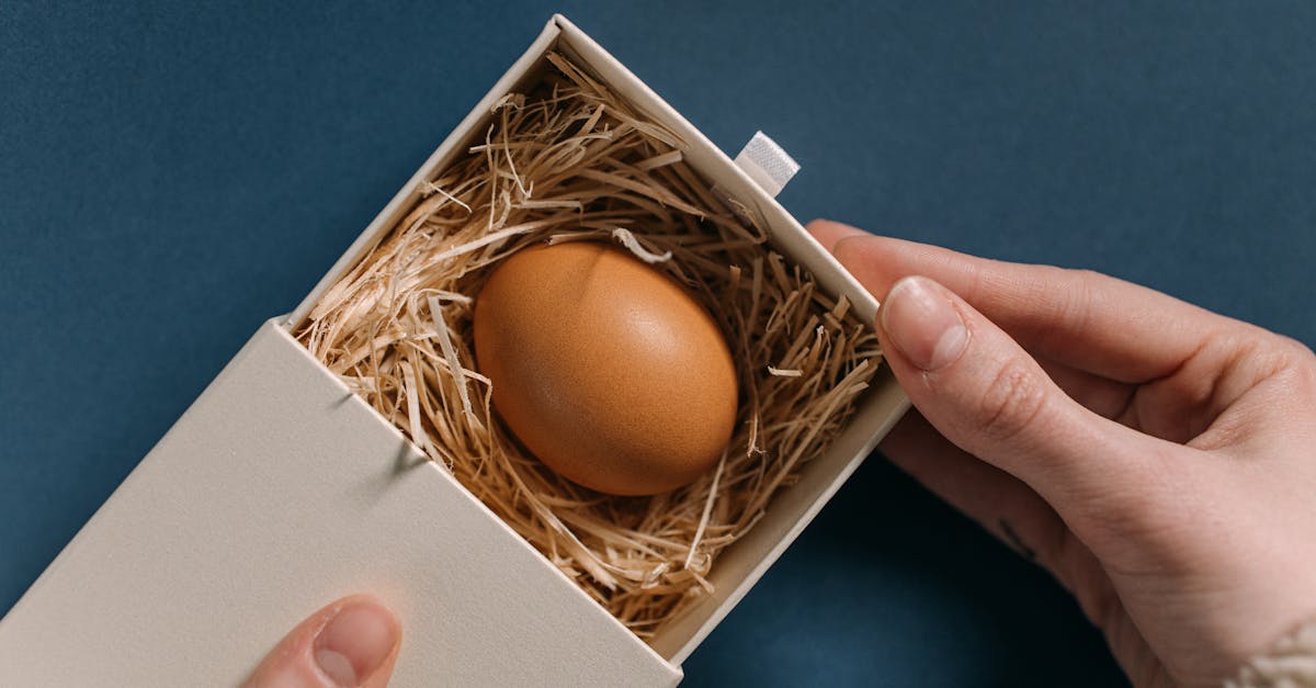 découvrez comment prendre soin des oisillons avec nos conseils pratiques et astuces indispensables. apprenez à nourrir, abriter et protéger ces jeunes oiseaux pour assurer leur développement et leur bien-être.