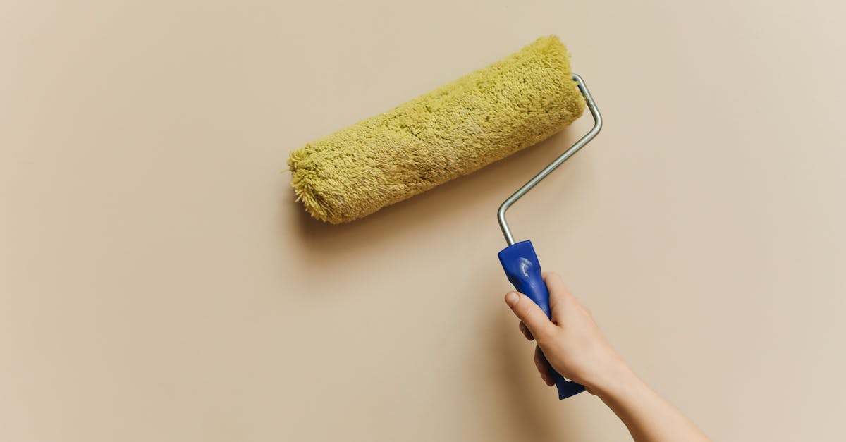 découvrez notre projet de peinture passionnant ! transformez vos espaces avec des couleurs vibrantes et des techniques innovantes. suivez notre aventure artistique pour des idées inspirantes et des conseils pratiques qui donneront vie à vos murs.