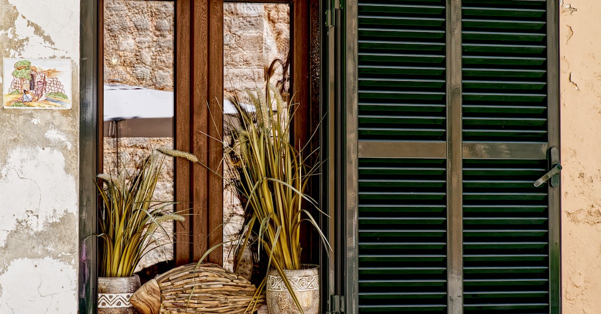 découvrez notre sélection de plantes en pot pour apporter une touche de verdure à votre intérieur. que vous soyez débutant ou expert, trouvez la plante parfaite qui s'adapte à votre style de vie et à votre décor. idéal pour égayer votre maison ou offrir en cadeau.