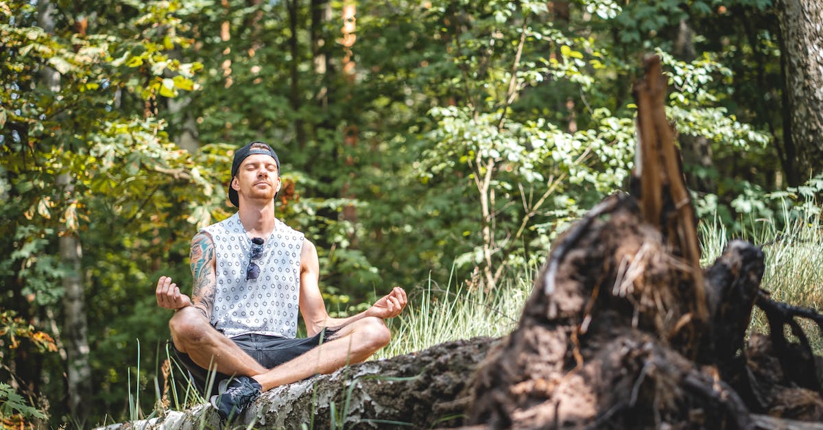 découvrez l'univers apaisant de serenity, votre destination idéale pour trouver la paix intérieure et la relaxation. explorez nos conseils, techniques et ressources pour cultiver la sérénité au quotidien.