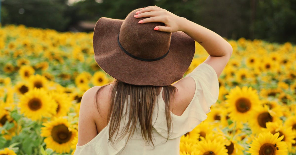 découvrez l'univers vibrant du tournesol, une fleur emblématique aux pétales dorés qui symbolise la joie et l'optimisme. explorez ses origines, sa culture et ses bienfaits pour l'environnement dans cet article captivant.