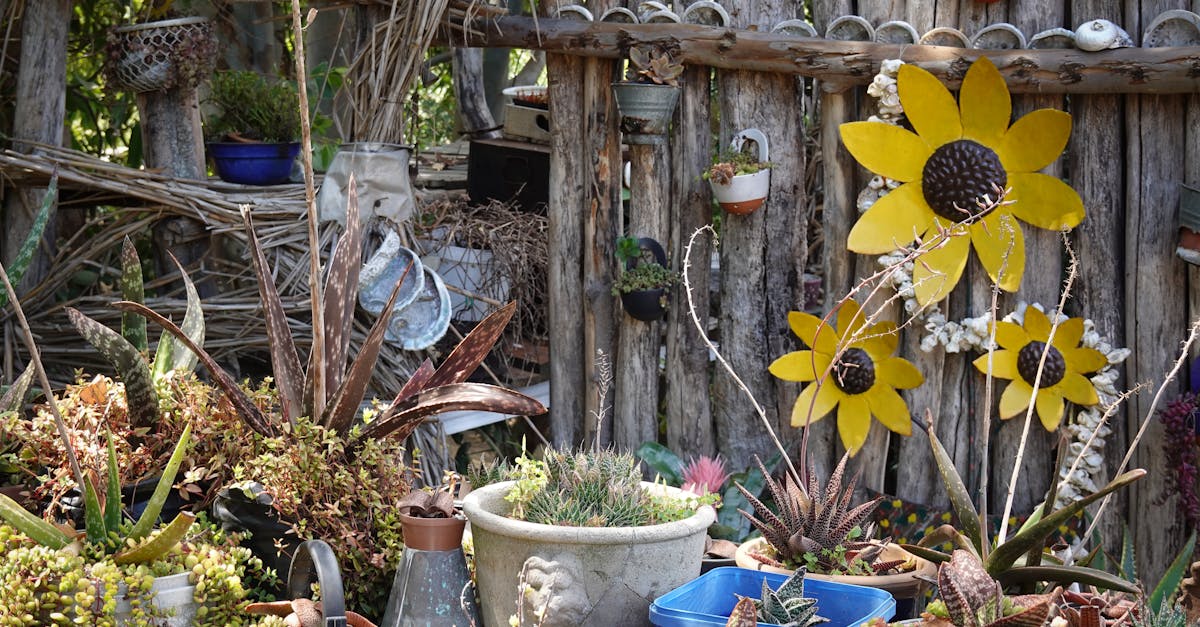 découvrez l'art du jardinage urbain : des conseils pratiques pour cultiver vos propres plantes en ville, maximiser les petits espaces, et apporter une touche de verdure à votre quotidien.