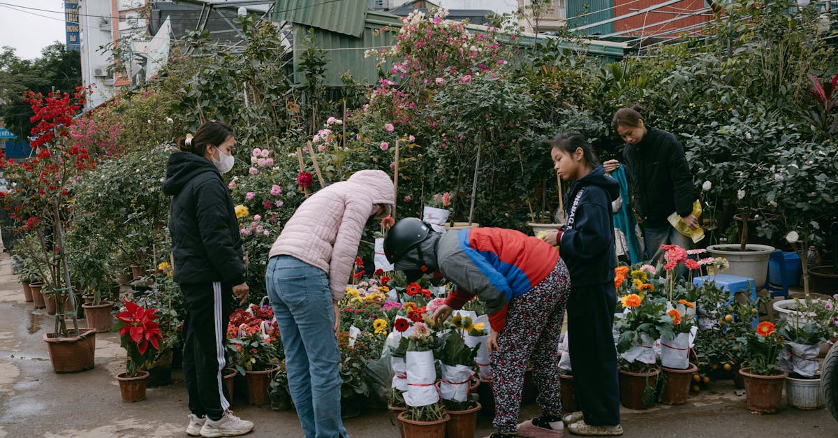 découvrez l'art du jardinage urbain : des conseils pratiques, des idées créatives et des astuces pour cultiver vos propres plantes en milieu urbain, même dans les espaces réduits. transformez votre balcon ou votre terrasse en un véritable havre de verdure!