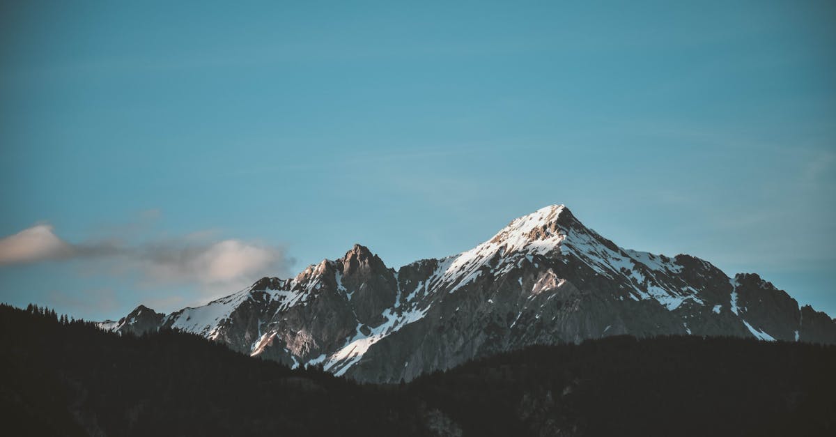 découvrez notre vaste sélection de wallpapers uniques et modernes pour transformer vos murs. que vous recherchiez des motifs élégants, des textures contemporaines ou des designs audacieux, trouvez l'inspiration pour embellir votre intérieur.