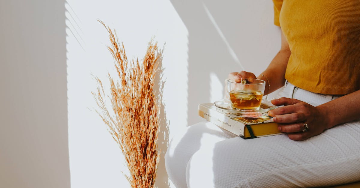 découvrez l'univers de zara home, où le design contemporain rencontre le confort. explorez nos collections de décoration intérieure, textiles et accessoires pour embellir votre maison avec style et élégance.