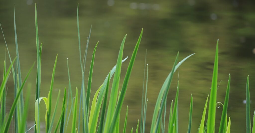 Comment réaliser une bordure de jardin inspirante et harmonieuse découvrez nos bordures de jardin élégantes et pratiques pour délimiter vos espaces extérieurs. ajoutez une touche esthétique à votre jardin tout en facilitant l'entretien et la création d'un cadre harmonieux.