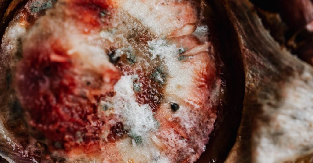 découvrez nos solutions efficaces pour le retrait de moisissures. protégez votre santé et améliorez la qualité de l'air intérieur grâce à nos services professionnels de désinfection et d'élimination de moisissures.