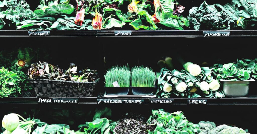 Cultiver des poireaux : un jardin d’inspiration pour tous découvrez tout sur les poireaux : bienfaits, recettes savoureuses et conseils de culture. apprenez à intégrer ce légume savoureux dans votre alimentation pour une cuisine saine et créative.