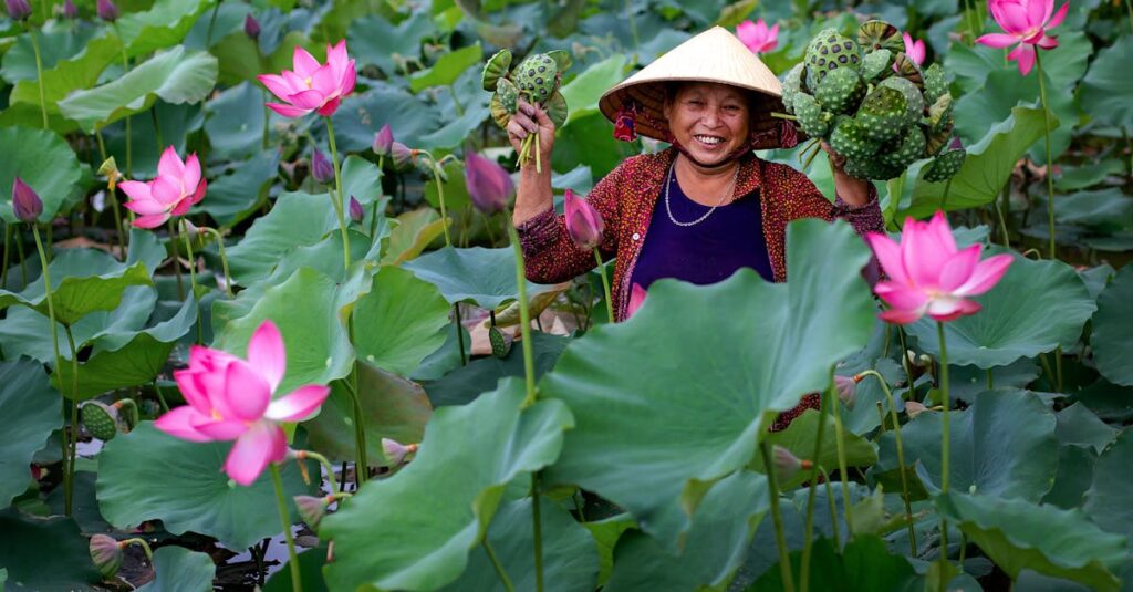 Plantes aquatiques : un jardin de paix et d’harmonie découvrez les meilleures pratiques pour arroser vos plantes aquatiques. apprenez comment maintenir un équilibre parfait dans votre jardin aquatique et favoriser la croissance de ces magnifiques végétaux. transformez votre espace extérieur en un havre de paix florissant.
