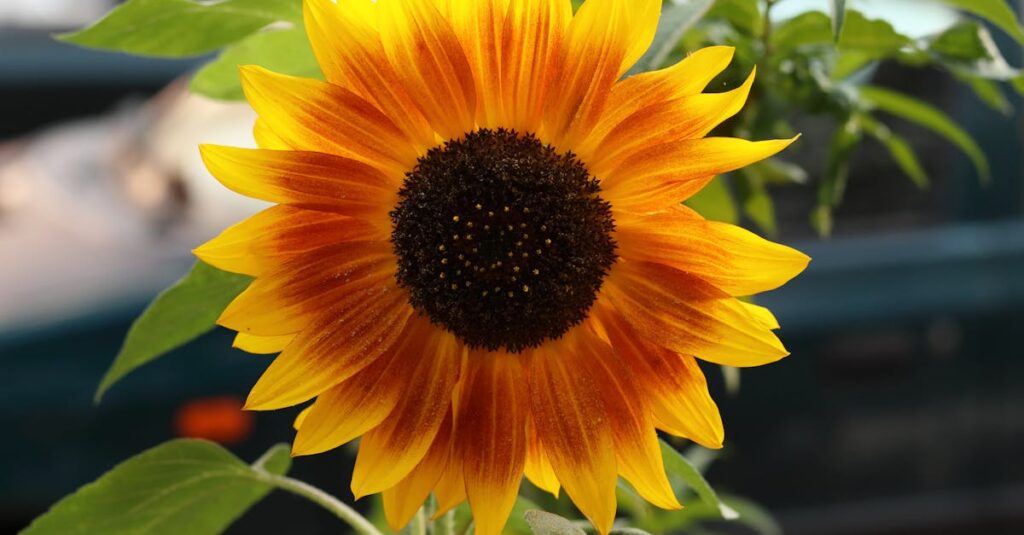 découvrez notre sélection de radiateurs décoratifs alliant design moderne et efficacité thermique. transformez votre intérieur avec style tout en profitant d'une chaleur agréable et confortable.